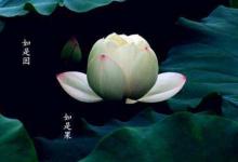三世因果的故事