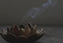前世鞭打耕牛,今世一一偿还!