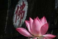 为何圣者并不主动干预世事