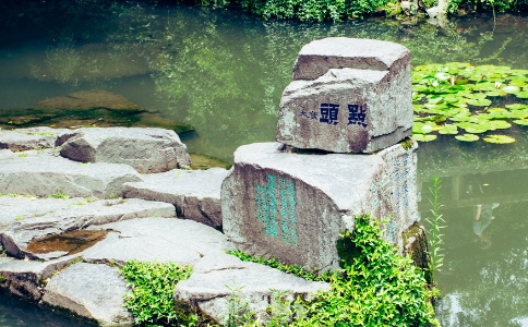 生公说法，顽石点头的故事及主人公道生法师
