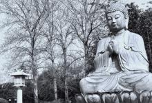 性专法师持诵《法华经》见极乐圣境,最后发愿往生