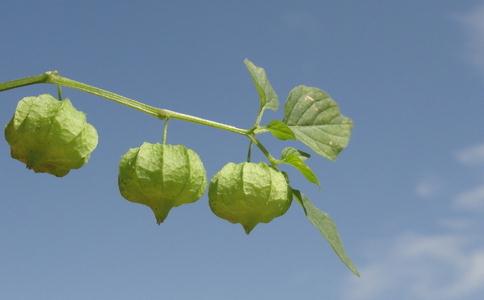 不同答案回答相同的问题