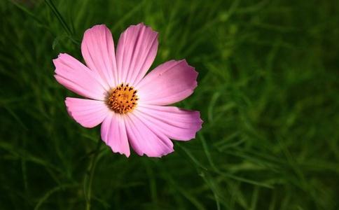 你不必羡慕他人 你不必羡慕他人