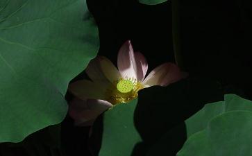 保持优雅是一种心态