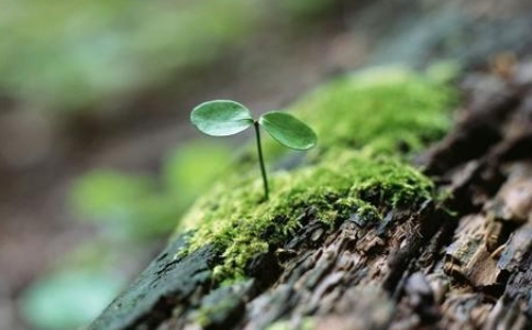 关于人生哲理的三个小故事