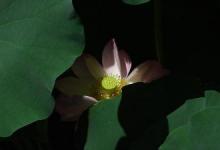 保持优雅是一种心态