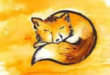装死的野狐狸