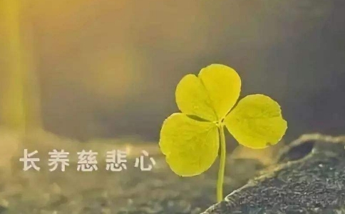 慈悲宽容对待他人的三则故事
