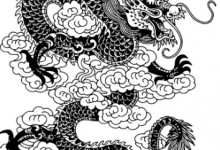 龙的故事