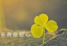 慈悲宽容对待他人的三则故事