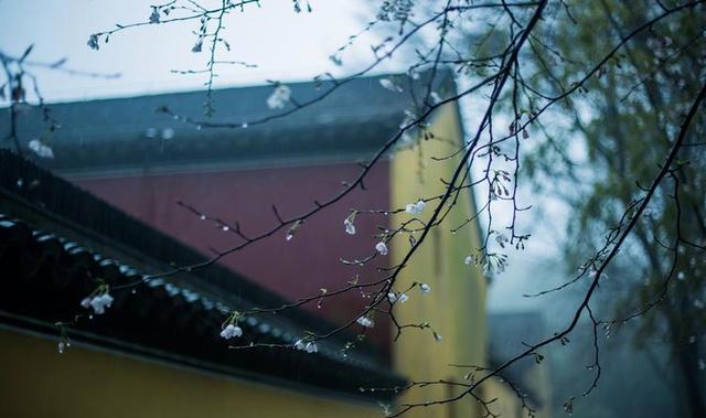 禅宗故事：丹霞和尚去江西，马祖问他石头路滑，你摔倒没有
