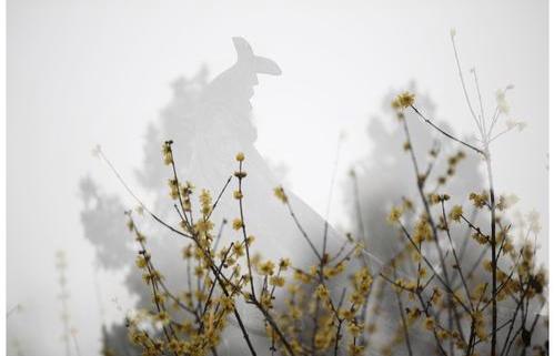 禅宗故事：仰山禅师种了一些萝卜，沩山说“你这个夏天没有虚度”