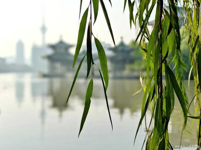 佛陀传递的智慧，一天有四个时段，吃饭只在“人间食”