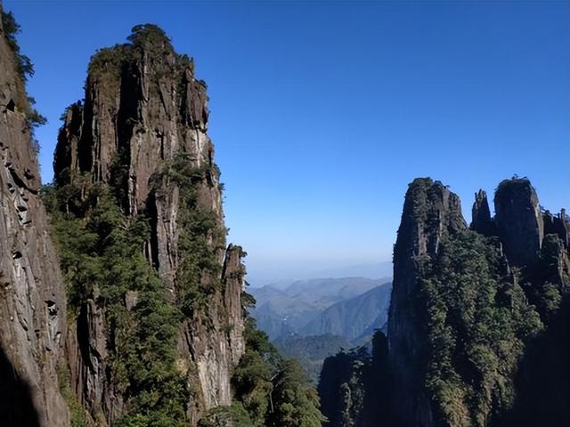 佛陀的一生：每一个特殊之日的夜晚，都要去令人恐畏的地方