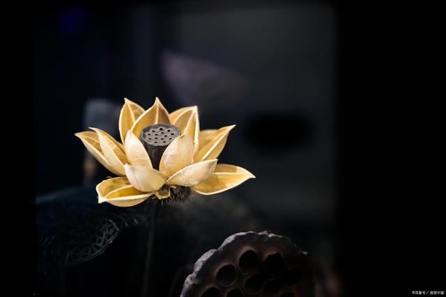 佛陀传递的智慧：观照自我，让心灵找回自己的归宿