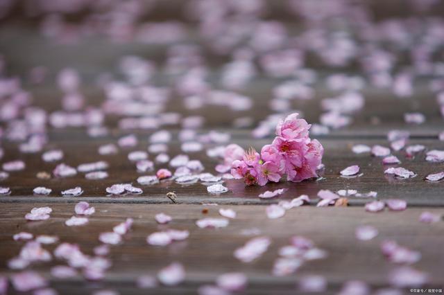 佛陀传递的智慧：一切从实际出发，把智慧落到生活中去