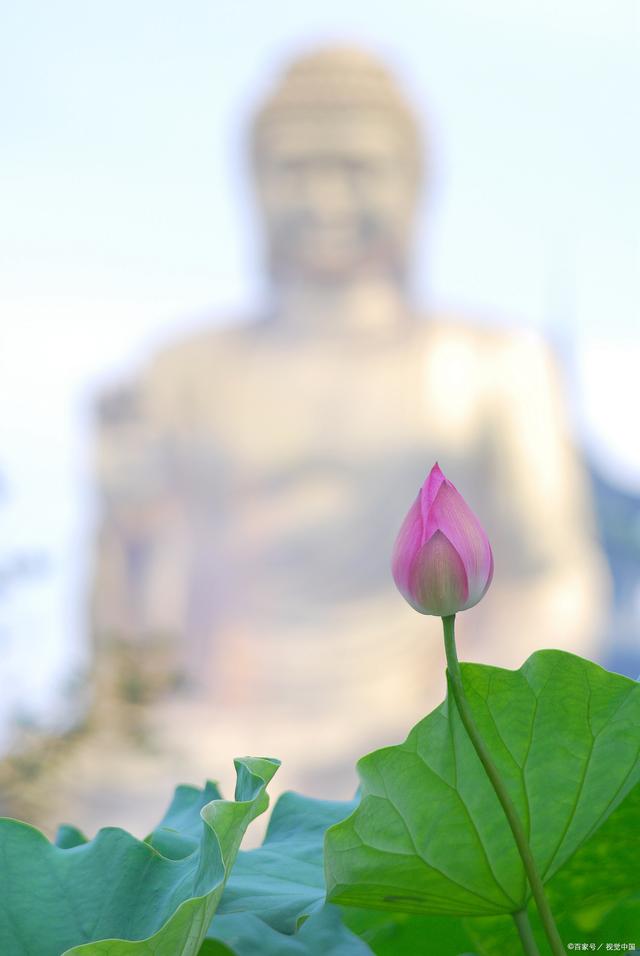 佛陀传递智慧，他拈着花，大迦叶了然一笑