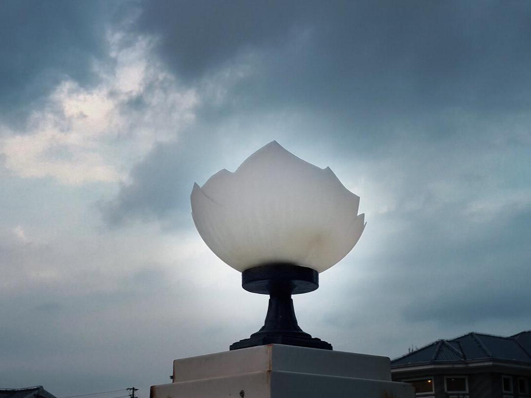 佛陀传递的智慧:忍就是压抑自己?不是这样的