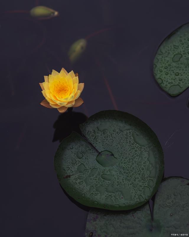 佛陀传递的智慧：平常心，就像一滴水融入大海的自在