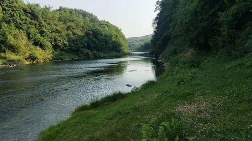 佛经传奇故事：唯一不受苦的龙王，住在喜马拉雅山附近