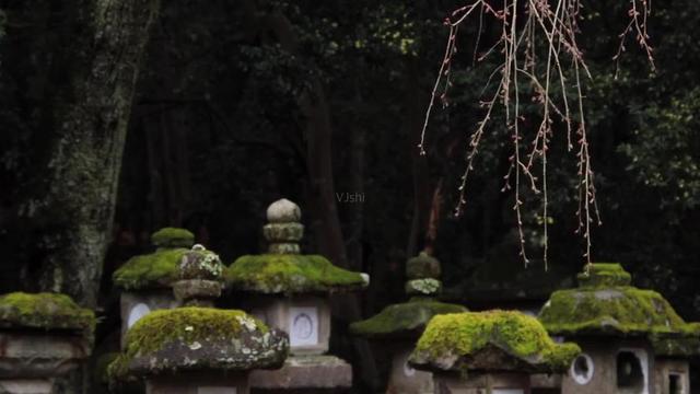 禅宗初祖达摩，原名菩提多罗，坐化于禹门熊耳山中的千圣寺