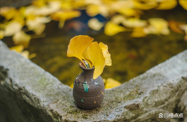 佛陀传递的智慧：活在当下，像个孩子一样