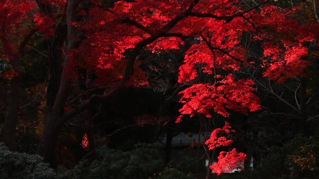 禅宗故事：文殊菩萨，七佛之师，将五台山当作道场