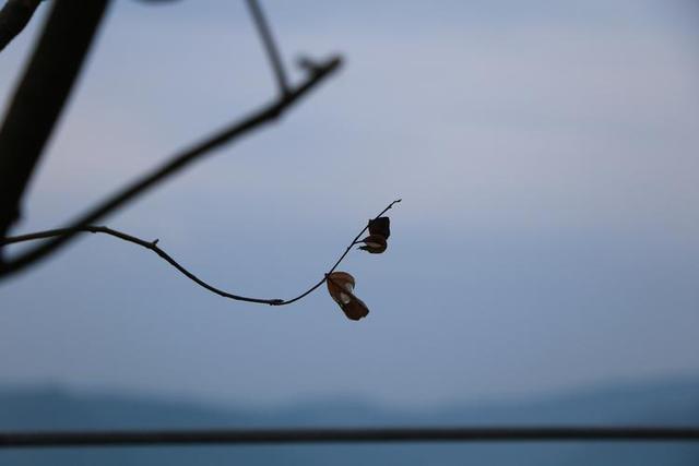 禅宗故事：慧能求一袈裟之地，结果让陈亚仙目瞪口呆