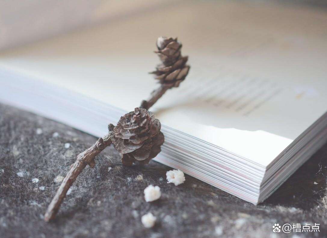 佛陀传递的智慧:不执着改变不了的,不放弃可以努力的