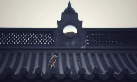 星云大师:从自我出发 星云大师:从自我出发