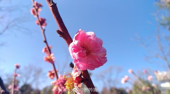 一行禅师：成为一个自由自主的人