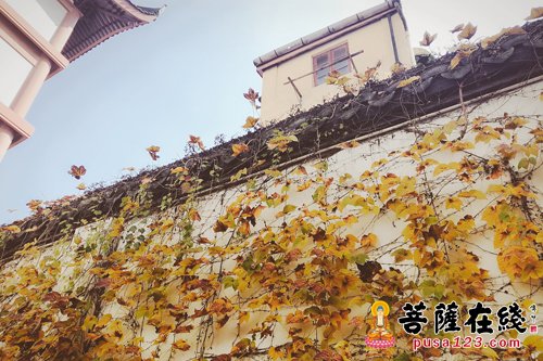 为何寺院大门叫“山门”或“三门”