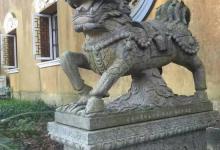 佛学常识:什么是中道