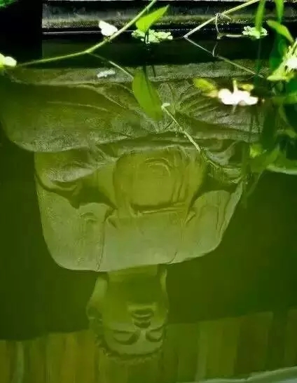 明贤法师:察觉丑恶呈现美善 明贤法师:察觉丑恶呈现美善