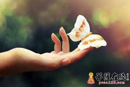 向往成佛是不是执着呢 向往成佛是不是执着呢