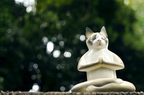 打坐应注意的事项有哪些 打坐应注意的事项有哪些