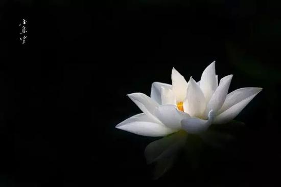 大安法师:居士是否可以超度亡灵 大安法师:居士是否可以超度亡灵