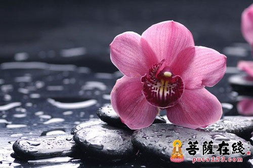 细数佛教词汇背后的含义 细数佛教词汇背后的含义