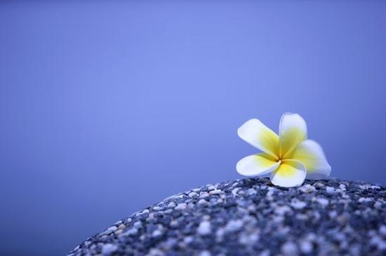 慧广法师:如何能不受负能量熏染 慧广法师:如何能不受负能量熏染