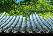 如孝法师:真正的觉醒从惭愧开始
