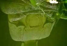 明贤法师:察觉丑恶呈现美善