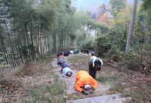 如瑞法师:朝山的意义