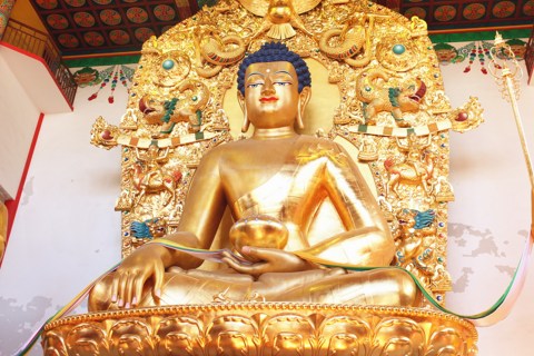 星云大师:心田事不同功德分胜劣 星云大师:心田事不同功德分胜劣