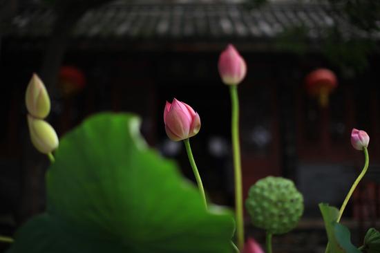 如何发愿如何积福 如何发愿如何积福