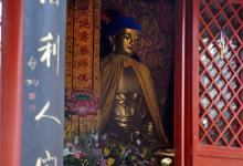 关于广行菩萨道