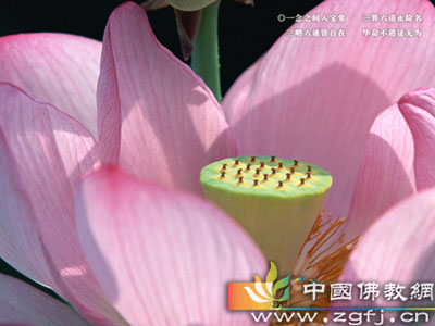 什么是拜神礼佛的正信观念 什么是拜神礼佛的正信观念