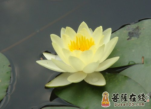 你业障真的消除了吗 你业障真的消除了吗