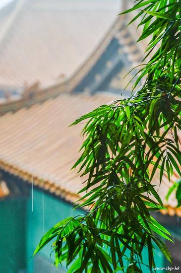 净慧老和尚:处理烦恼的方法 净慧老和尚:处理烦恼的方法