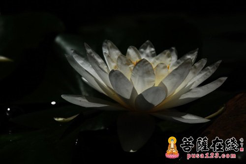 佛教十恶与十善 佛教十恶与十善