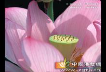 什么是拜神礼佛的正信观念